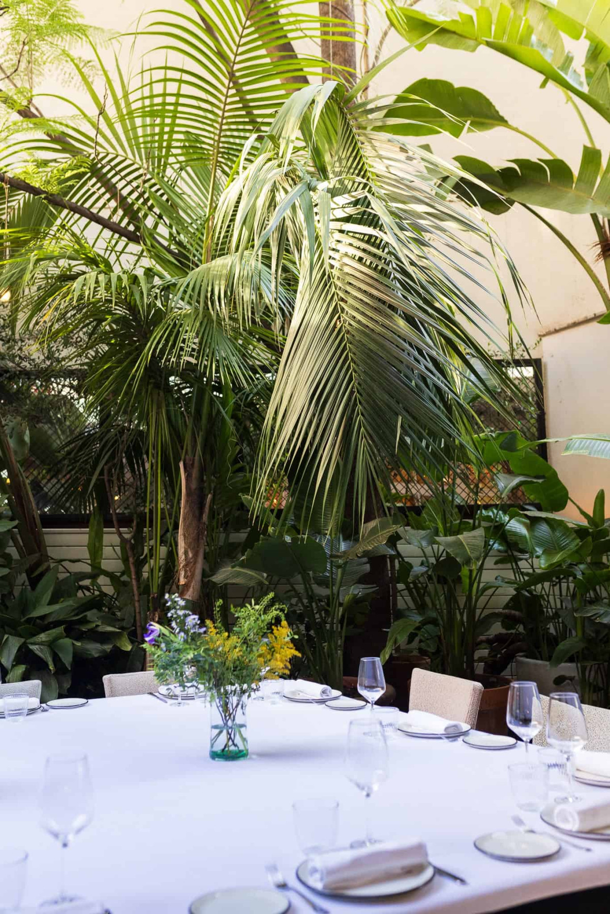 Hotel Pulitzer Barcelona — photo 4