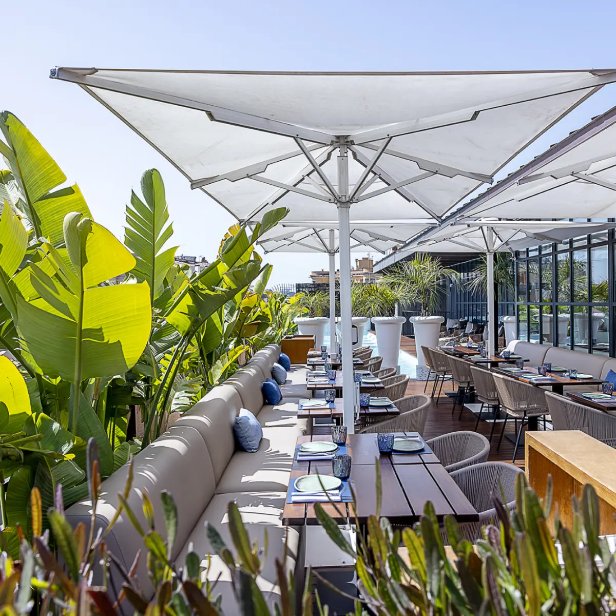 Verbena Terrace — photo 2