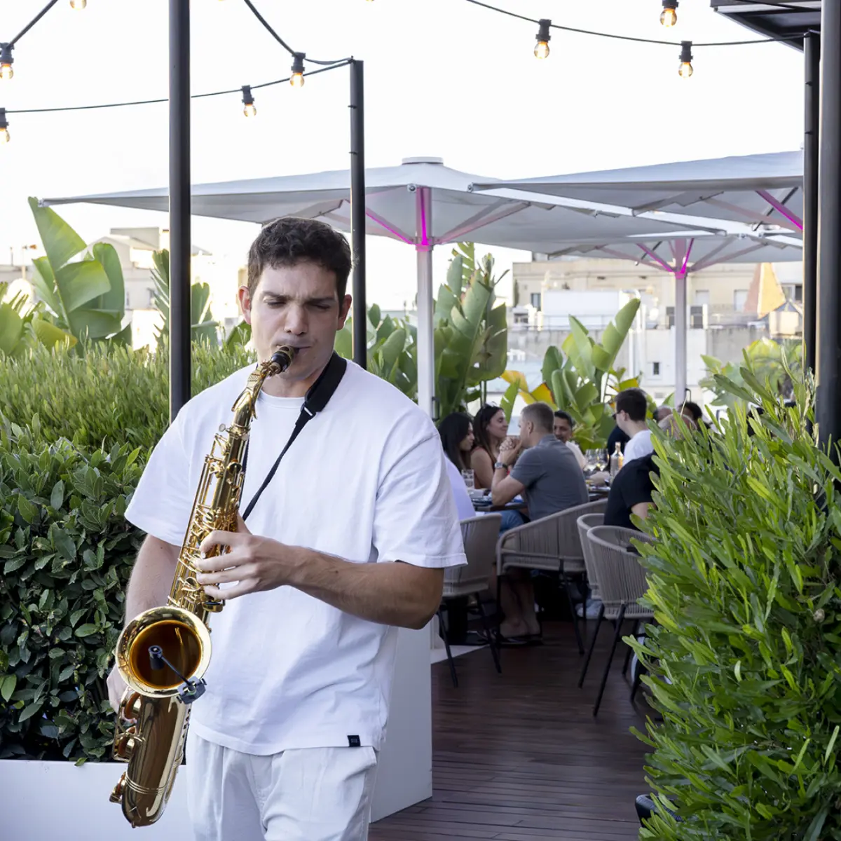 Verbena Terrace — photo 4