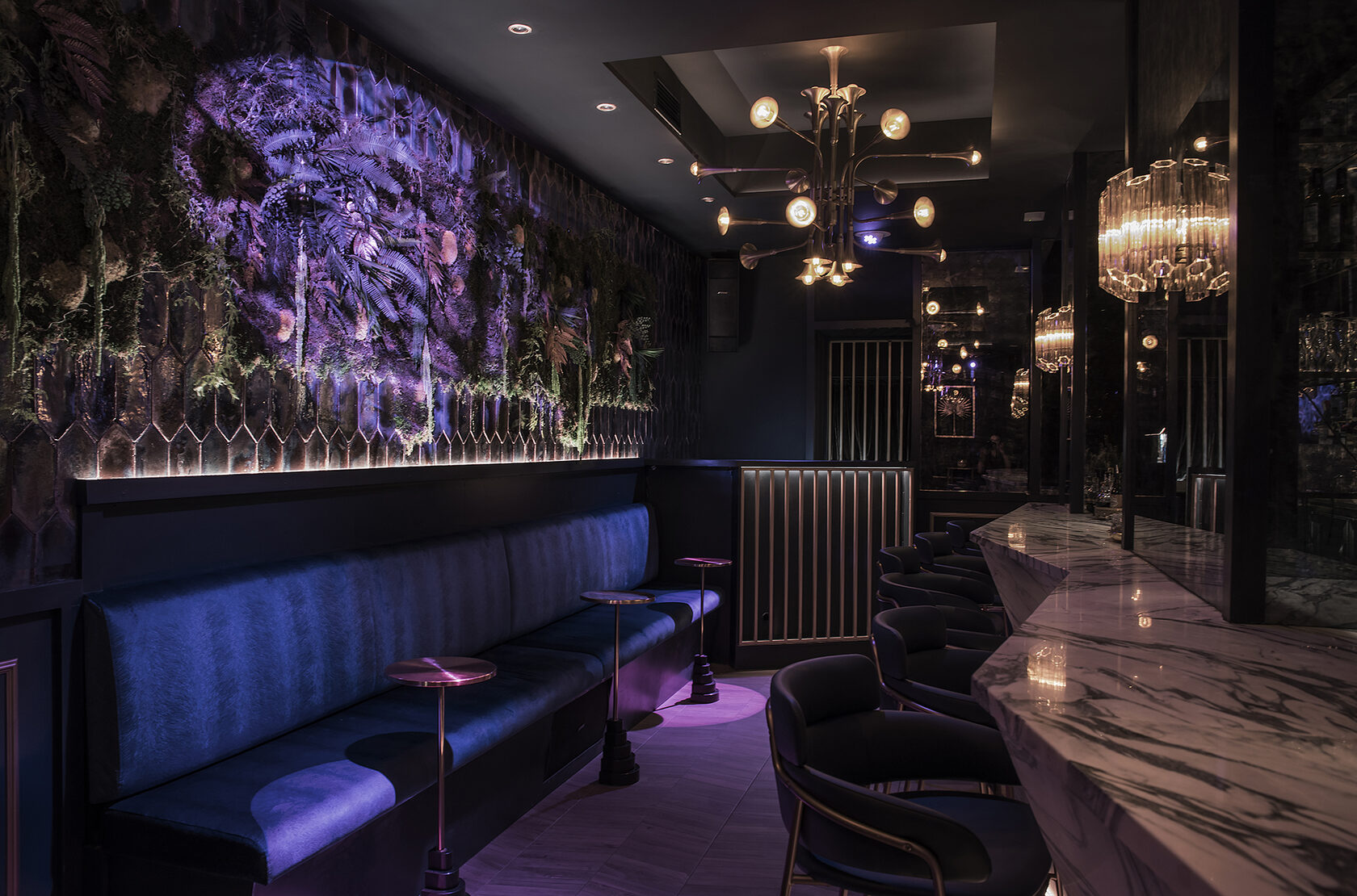 Oyster bar and clandestine cocktail bar image 5